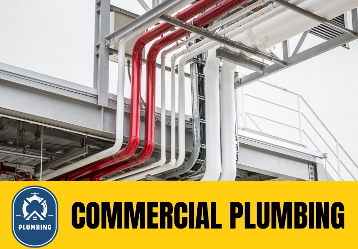 commercial plumbing Swale