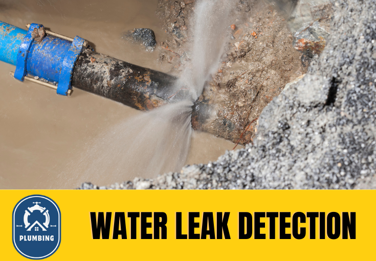 leak detection Swale